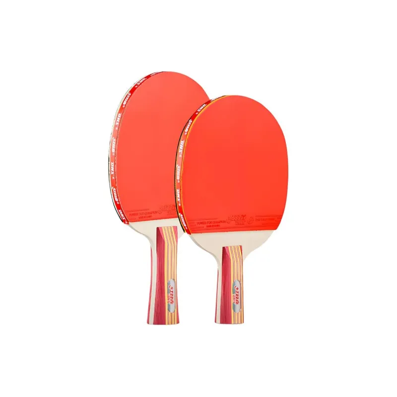 DHS Ping Pong Paddles-13