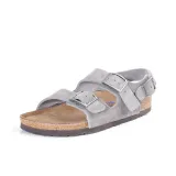 Iron Gray