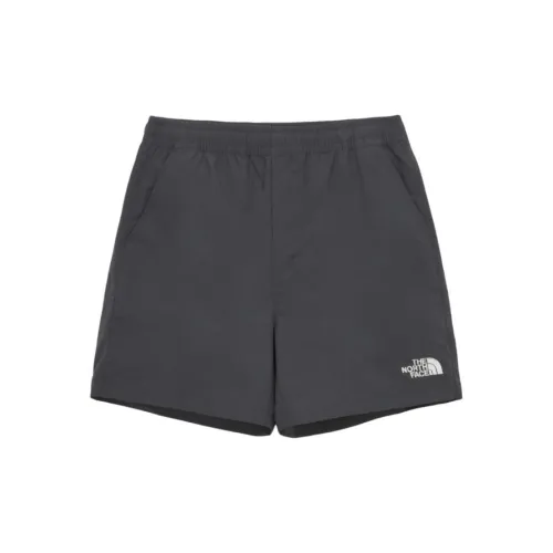 THE NORTH FACE Apparel Collection Casual Shorts Men Dark Gray