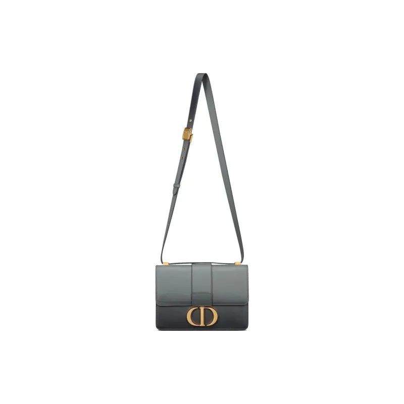 DIOR 30 Montaigne Leather Shoulder Bag Crossbody Bag Women's Gray-1
