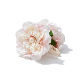 LOOK NICE Hair Clips Women's