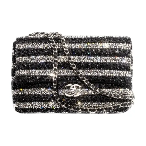 CHANEL Crossbody Bags