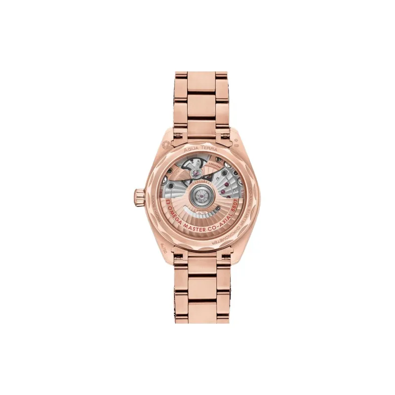 OMEGA Seahorse Collection Automatic Mechanical Movement Women's Watch Watch 34mm Silver Dial 18K Gold Strap-1