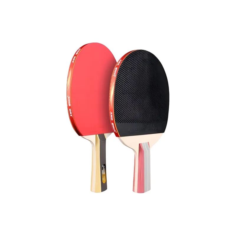 DHS Ping Pong Paddles-13