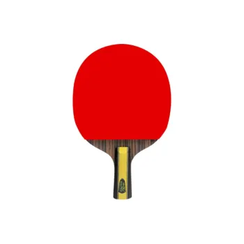 DOUBLE FISH Ping Pong Paddles