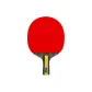 J7 Ping Pong Paddle Single Penhold Grip, Ebony Wood Ayus, Loop Attack