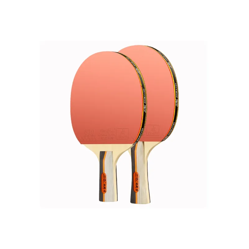 DOUBLE FISH Ping Pong Paddles-1