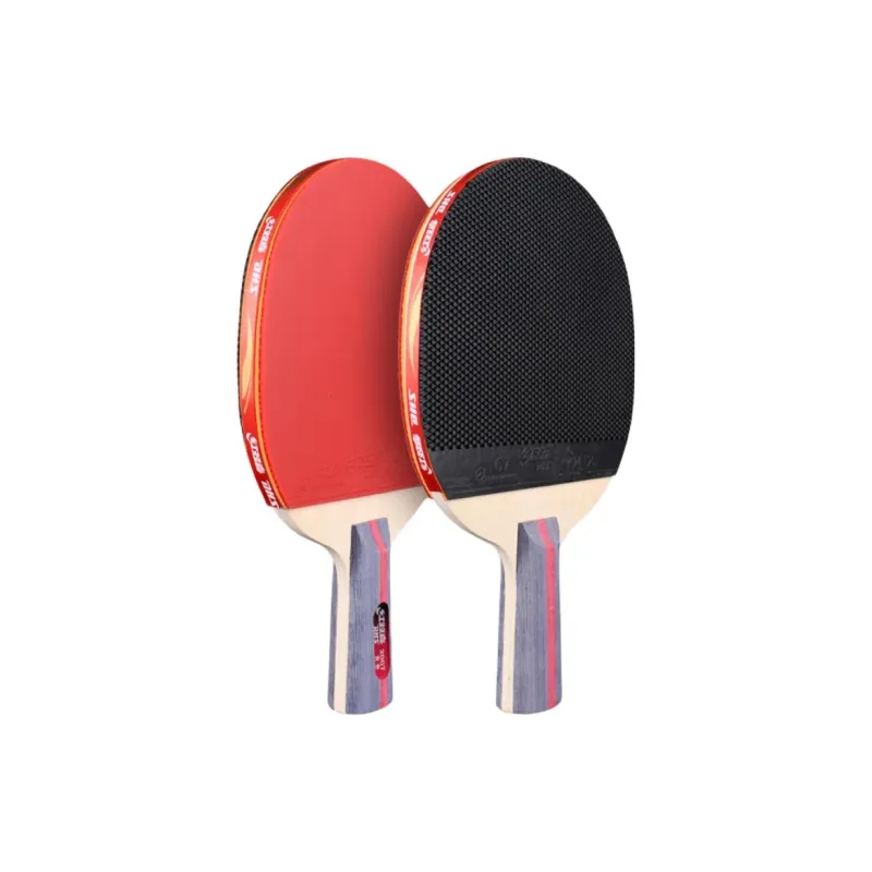 DHS Ping Pong Paddles-8