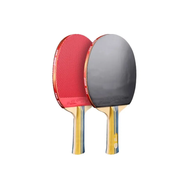 DHS Ping Pong Paddles-17