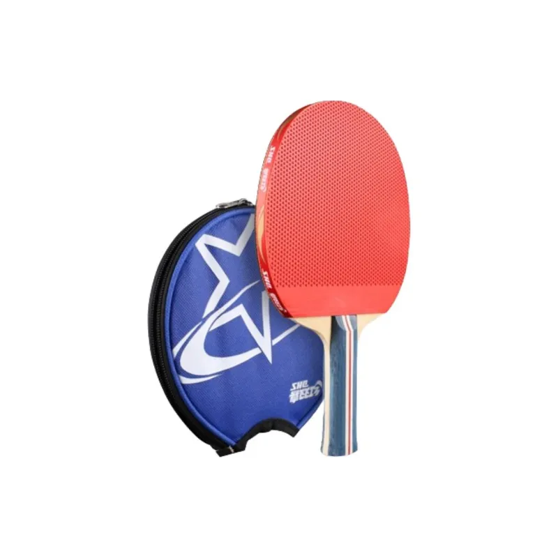 DHS Ping Pong Paddles-15