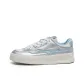 Glacier Silver