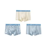 3 Pack (Men's Mixed Color)
