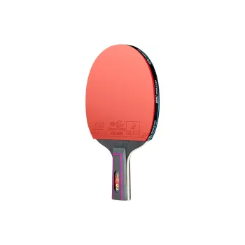 DOUBLE FISH Ping Pong Paddles