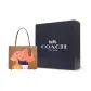 Bag+Dust Bag+Black Box