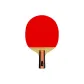 J9 Ping Pong Paddle, Single Straight, Cedar Carbon Fiber, Loop and Attack