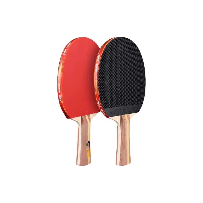 DHS Ping Pong Paddles-9