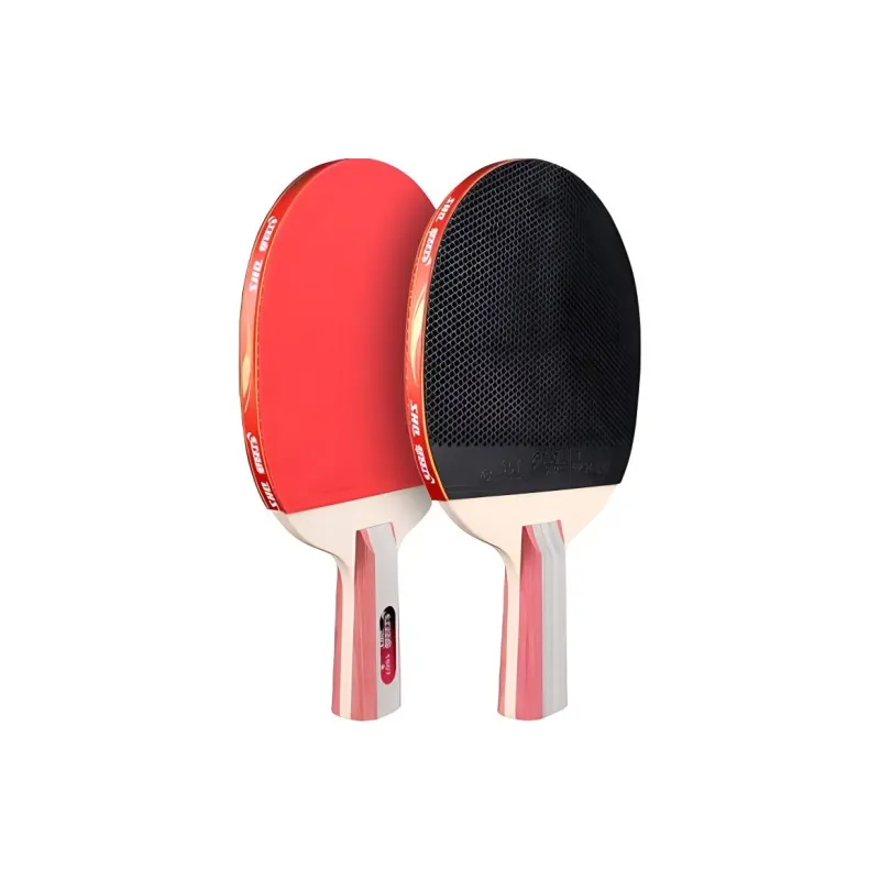 DHS Ping Pong Paddles-11