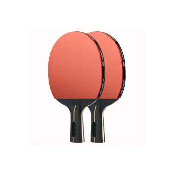 DOUBLE FISH Ping Pong Paddles