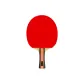 J9 Ping Pong Paddle, Single Horizontal Racket, Cedar Wood Carbon Fiber, Loop and Attack