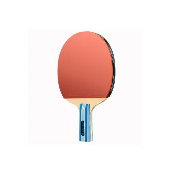 DOUBLE FISH Ping Pong Paddles