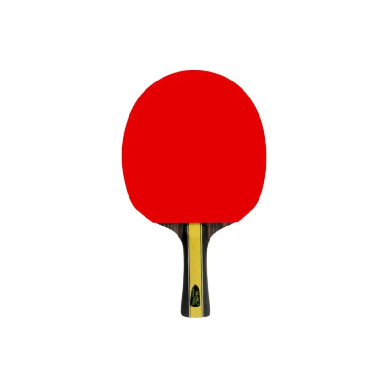 DOUBLE FISH Ping Pong Paddles-1
