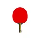 J7 Ping Pong Paddle, Single Horizontal, Ebony Wood Ayous, Loop and Attack