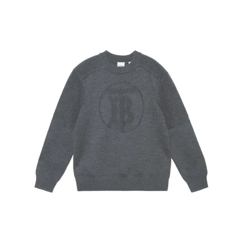 Burberry Sweaters Men Gray