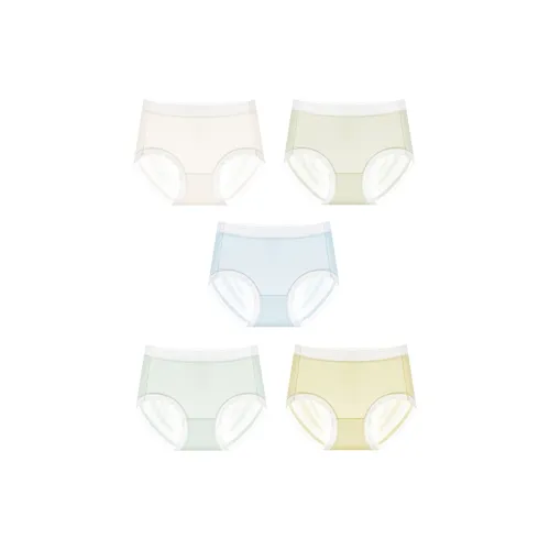 Lanza Underpants Women's 5 Pack Mixed Color