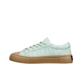 STONE ISLAND x DIOR B33 Platform Shoes Low Top Skateboard Shoes Unisex Green