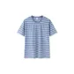 Blue White Tone 00381