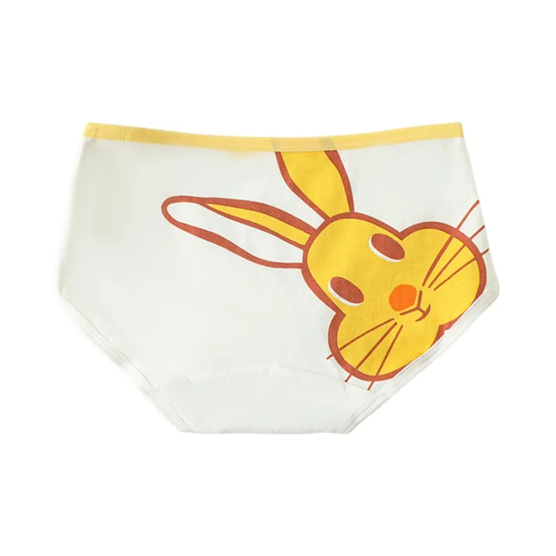 Lanza Underpants Women's Combo Set-6