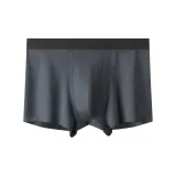 Bamboo Technology Sweat-Wicking Sports Underpants-Dark Gray