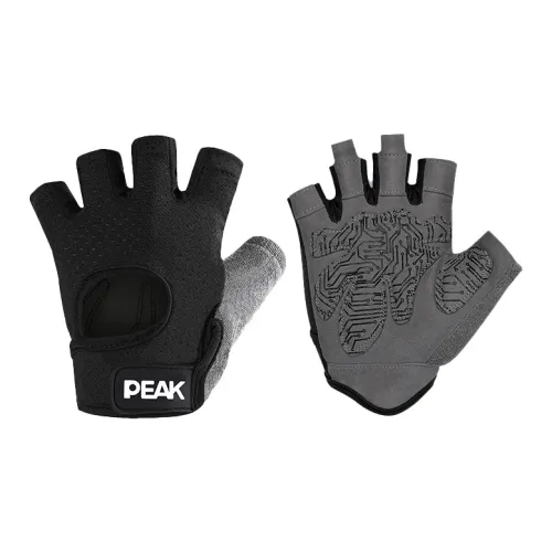 LARA STAR Weightlifting Belts / Gym Gloves