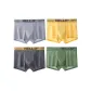 Ginger Yellow+Dark Gray+Fruit Green+Light Gray