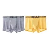 Light Gray+Ginger Yellow