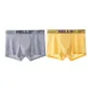 Light Gray+Ginger Yellow