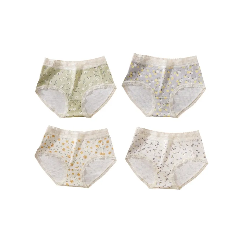 FENTENG Underpants Women's 4 Pack-2