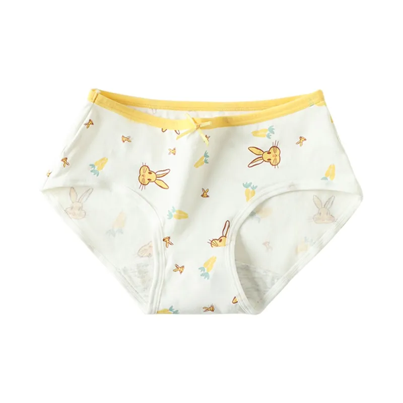 Lanza Underpants Women's Combo Set-9