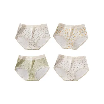 FENTENG Underpants Women's 4 Pack