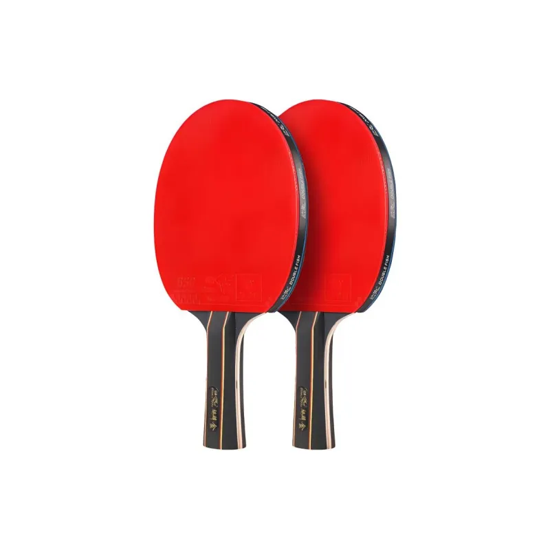 DOUBLE FISH Ping Pong Paddles-2