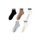5 Pack (Black+Brown+White Black Stripe+Gray+White Red Stripe)