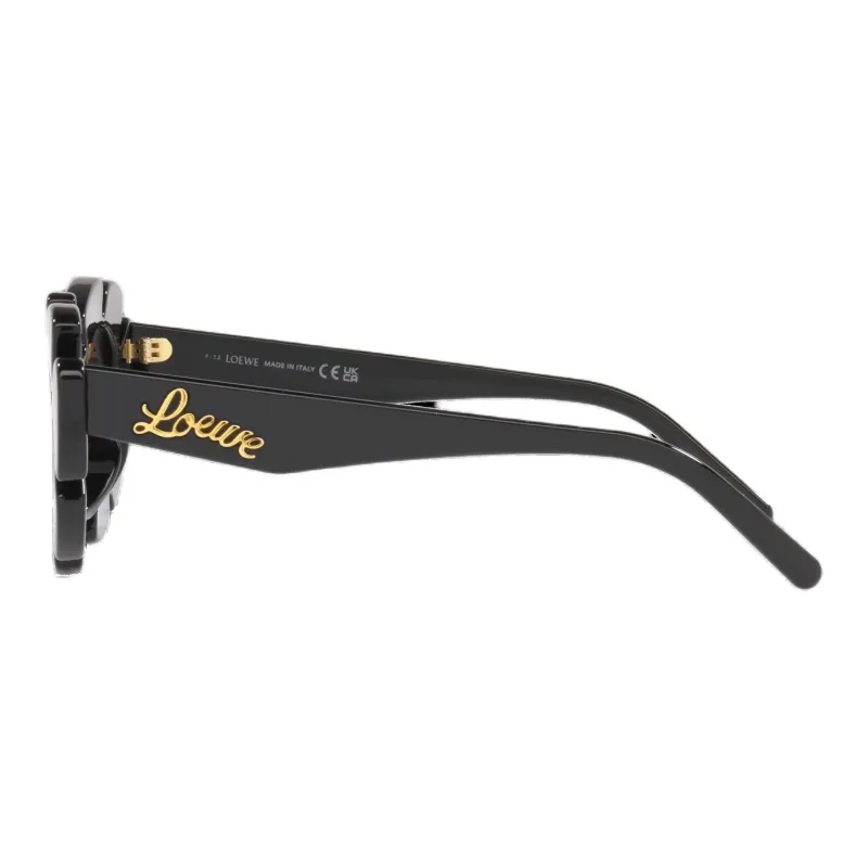 LOEWE Injection Molding Oval Sunglasses Unisex Black-2