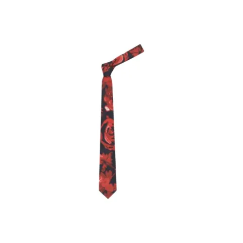 Alexander McQueen Tie Men