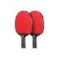 Double Fish Kirin Gold, Penhold Grip[Double Rackets]