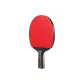 Double Fish Kirin Gold, Penhold Grip[Single Racket]