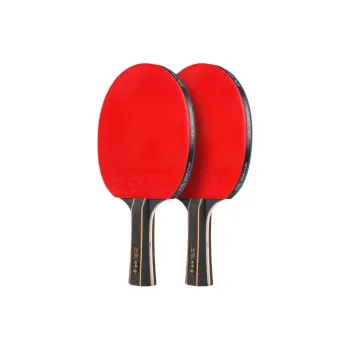 DOUBLE FISH Ping Pong Paddles
