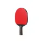 Double Fish Kirin Gold, Penhold Grip[Single Racket]