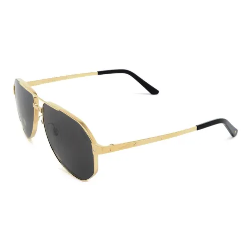 CARTIER Eyewear Santos De CARTIER Pilot-frame Sunglasses