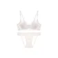 Light Apricot White