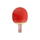 [One Star]1A+Casual Style Single-Penhold Grip Short Handle*1